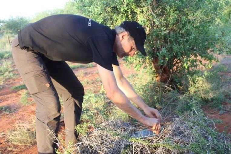 Schakel verstopt een zonnecel voor een sensor in een park in Kenia. Beeld Sensing Clues