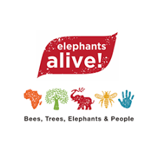 Elephants alive.png
