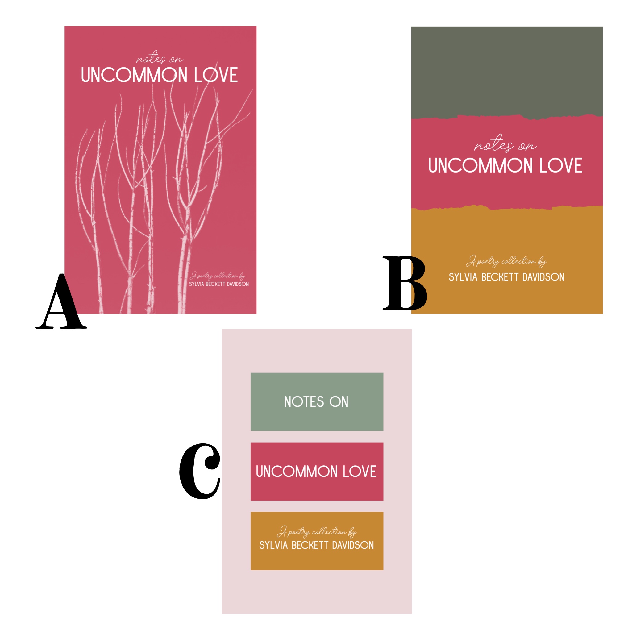 Final 3 designs