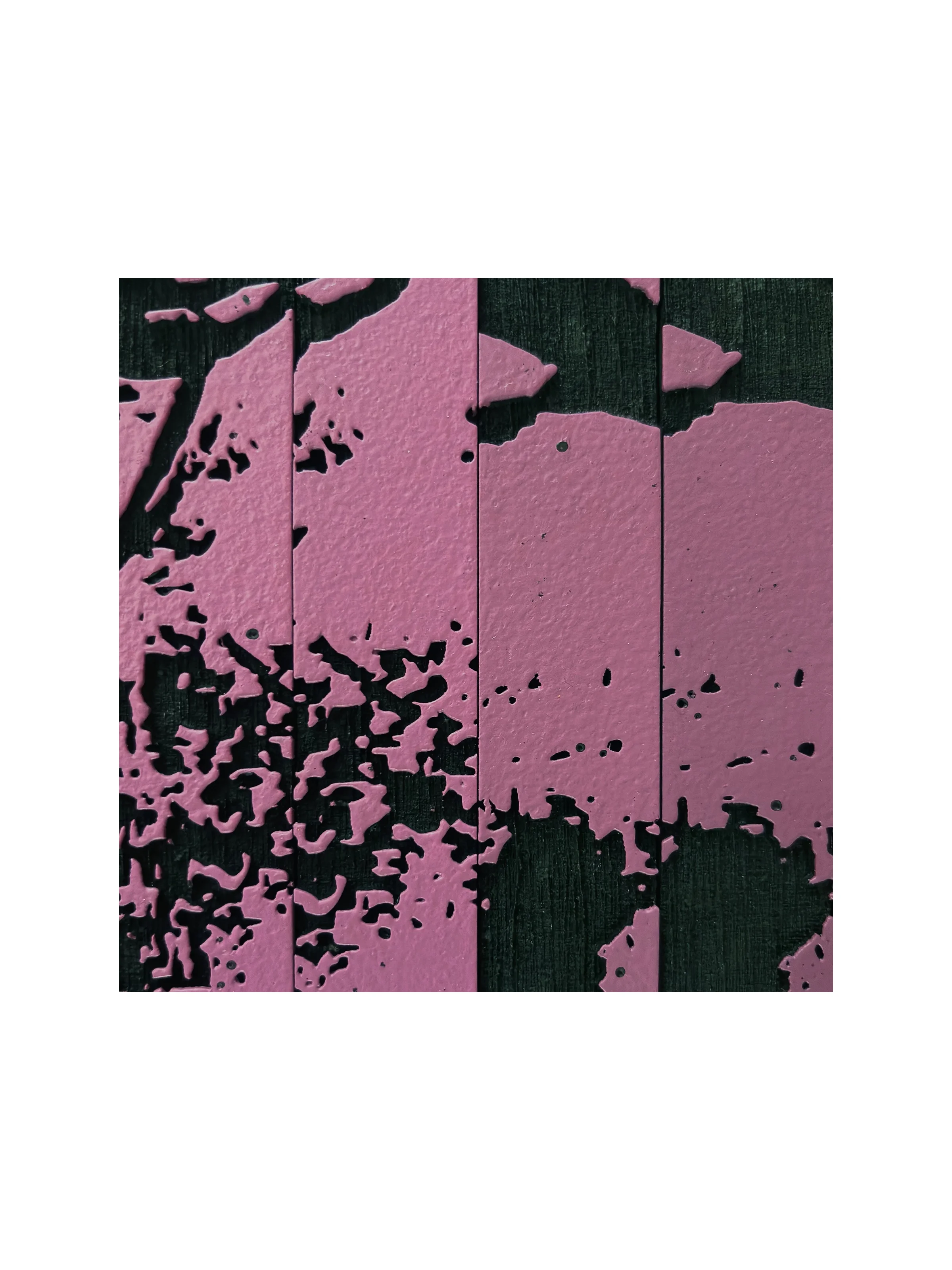 JC12152024_DETAIL.webp