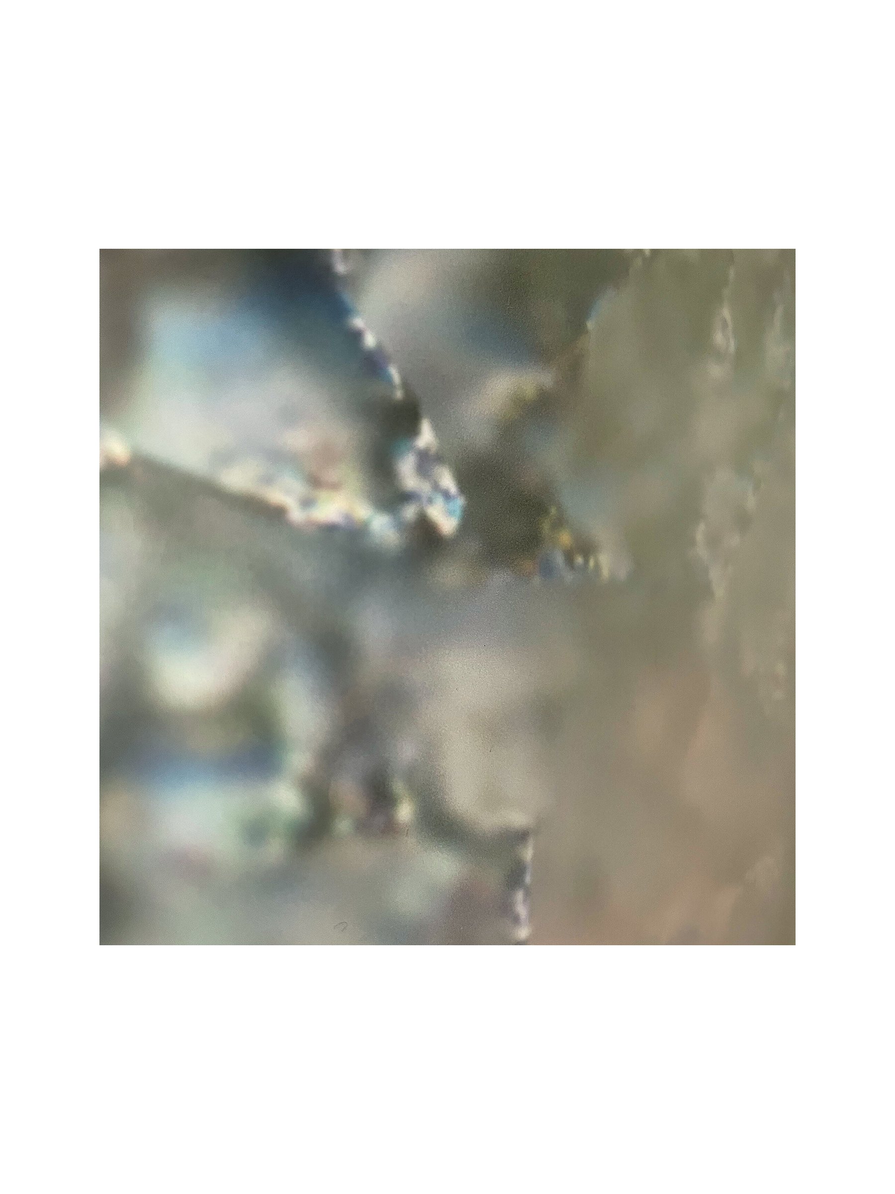 How_far_north_are_you_going_2021_DETAIL_4.jpg
