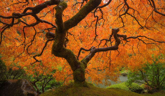 How to Live Longer and Slow Time Down.