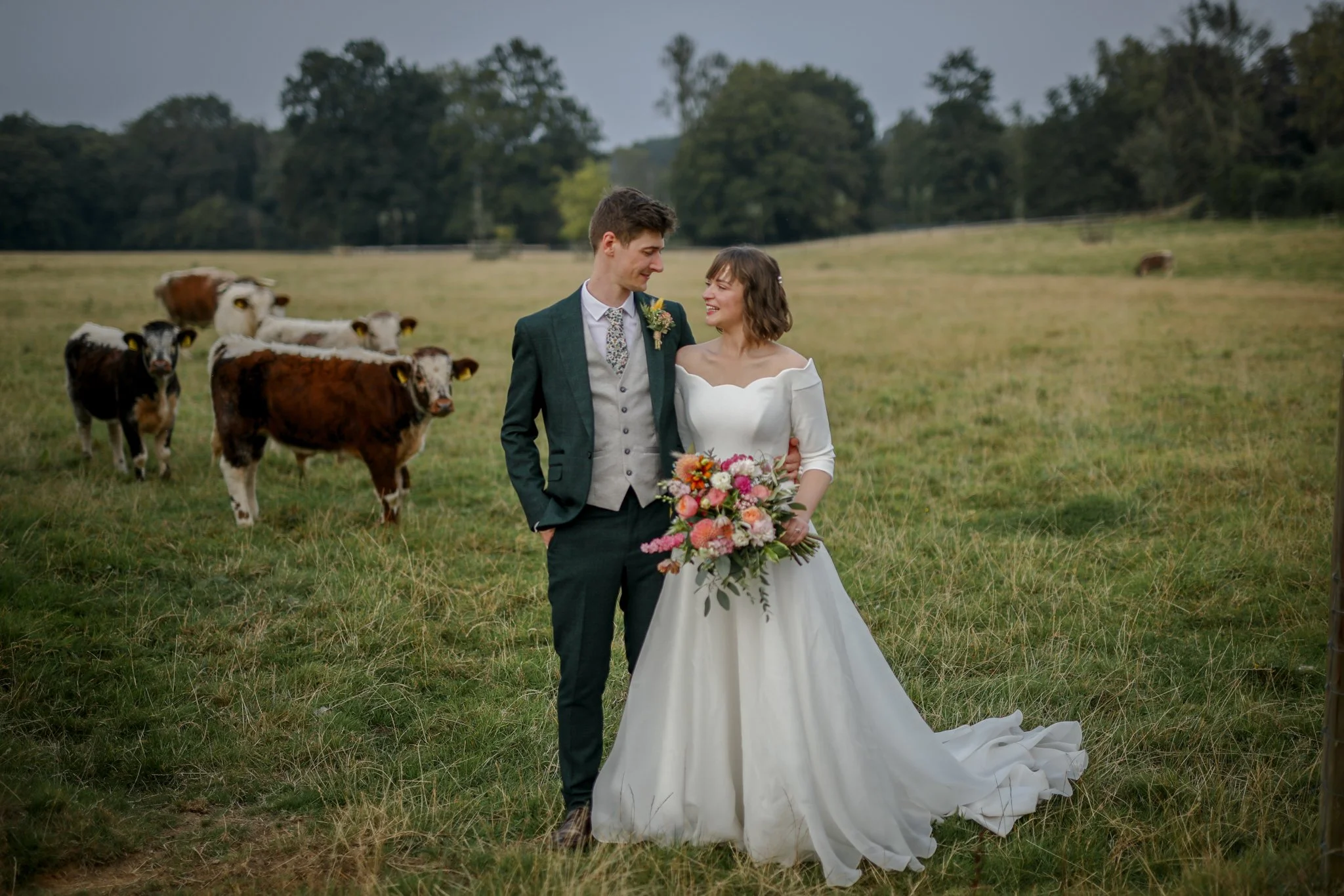 A bride and groom walking in a field with cows in the background, holding hands and smiling at each other.