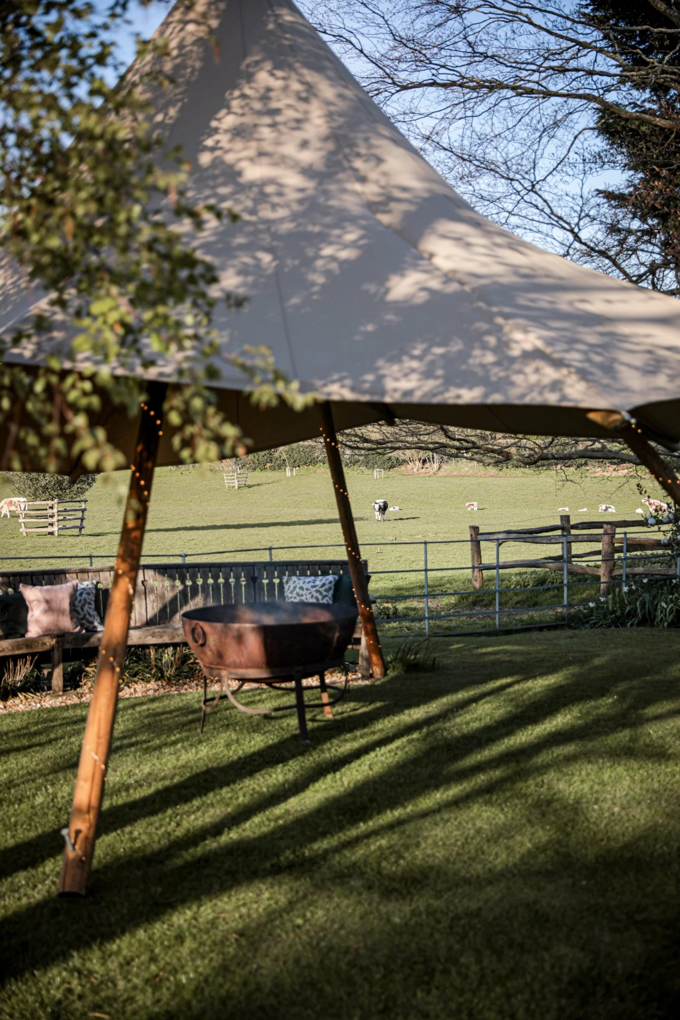 An outdoor scene featuring a large beige canopy tent casting shadows on a grassy lawn, with trees in the background and a field with cows beyond a wooden fence.