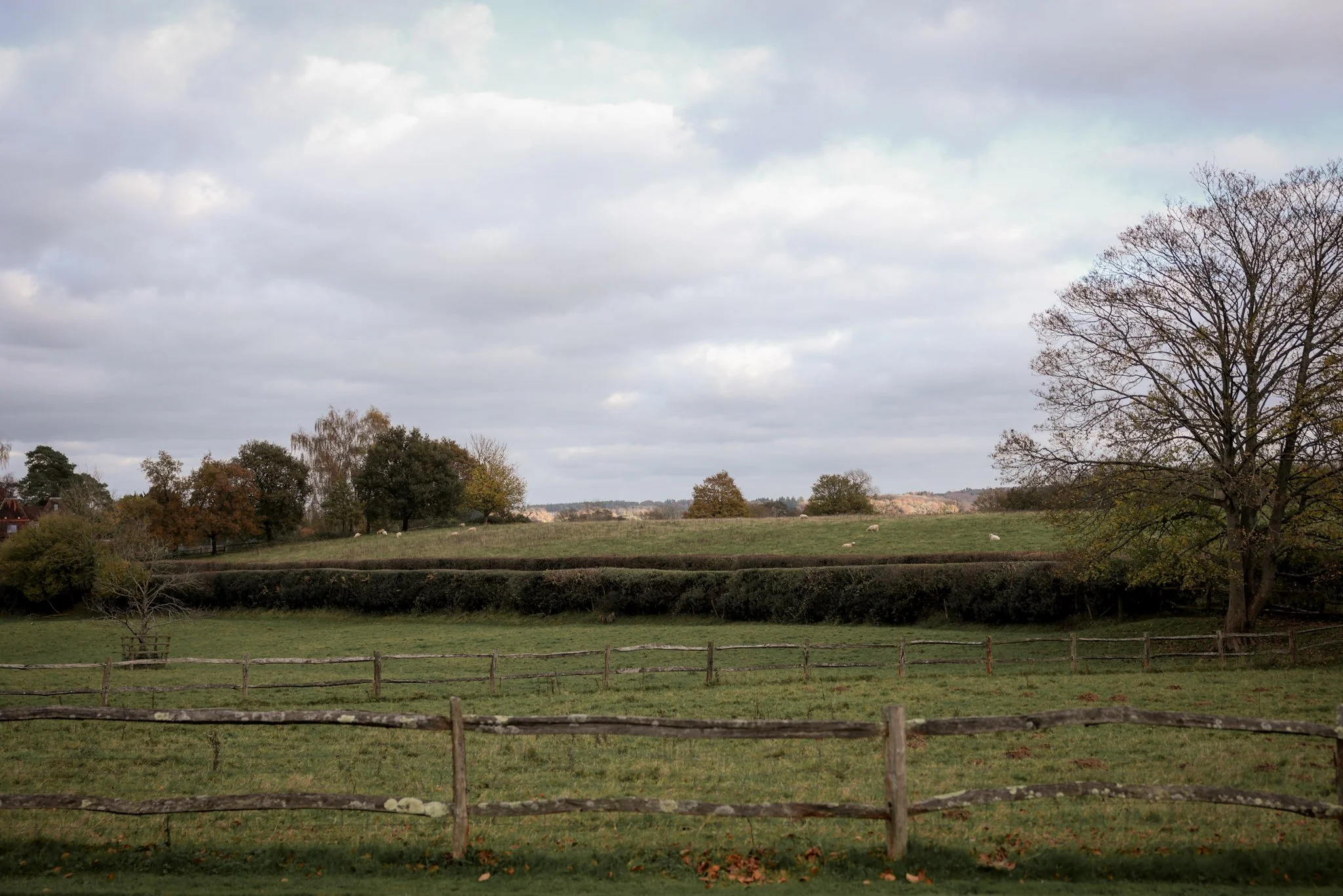 A rural landscape with a grassy field, a wooden fence in the foreground, and many trees scattered across the scene. The sky is cloudy, and there are sheep grazing in the distance.