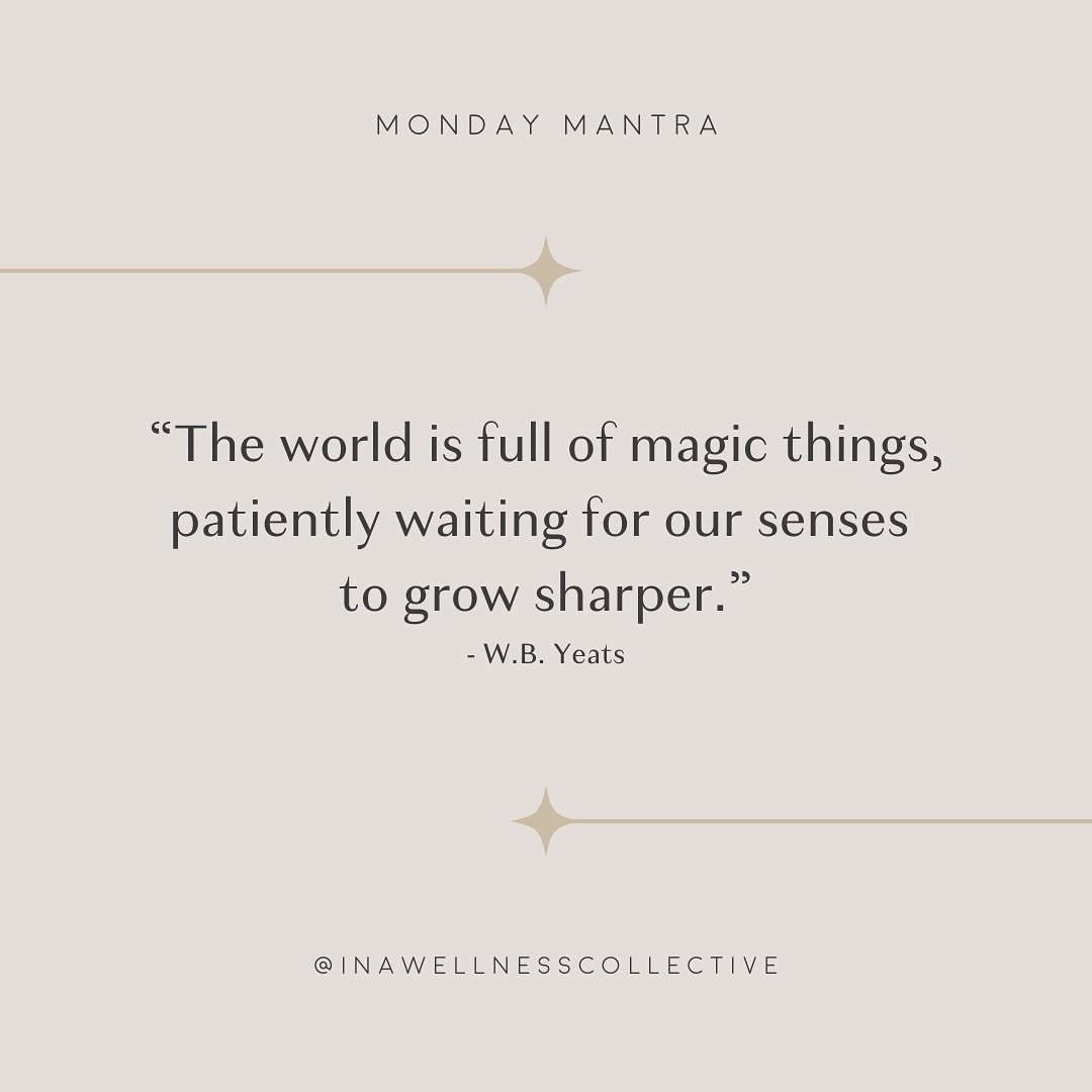 Monday Magic

#mondaymantra #mondaymagic #mondaymood #motivationmonday #mondayquotes #quotesofinstagram #quotesonpresence #mindfulquotes #awakenthesenses #inawellnessstateofmind #inawellnesscollective