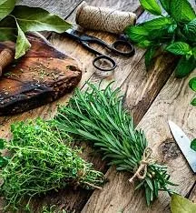 La magie des plantes