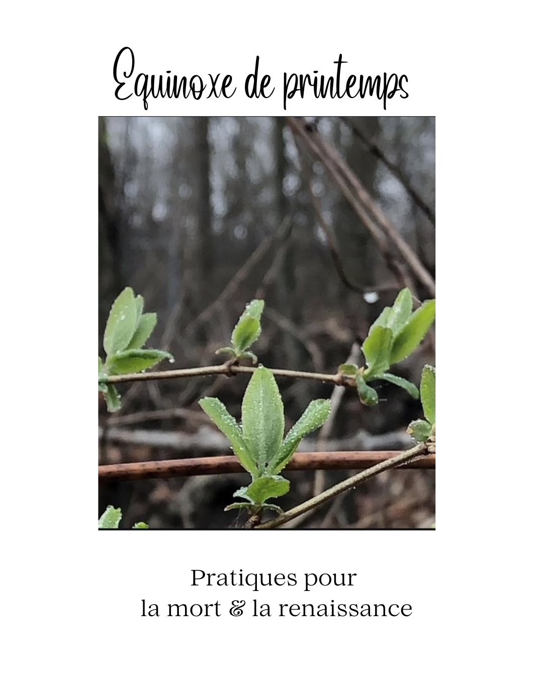 La médecine du Printemps - Ebook