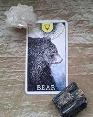 Après la nuit - Libérer les traumas avec la médecine de l’ours