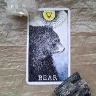 Bear+spirit+pic+site.jpg