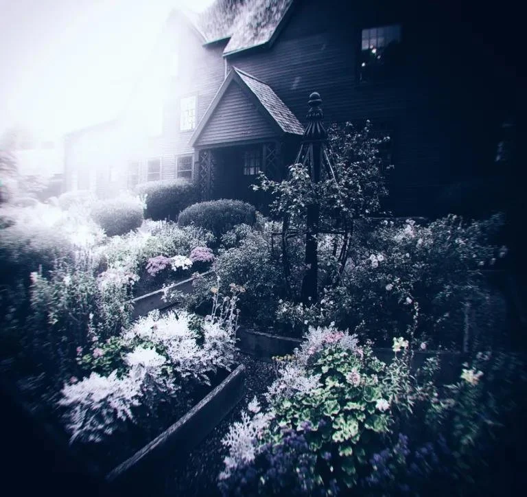 Le jardin de la Sorcière