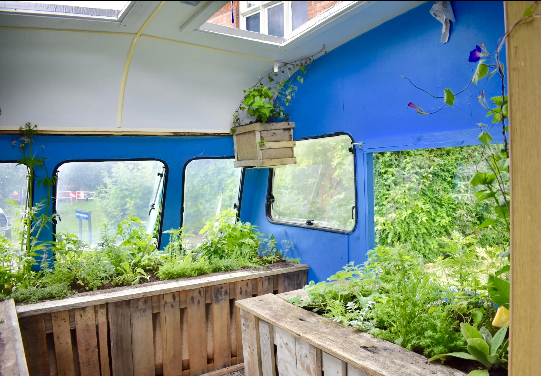 Plants in the Wanderlust caravan, May 2019.