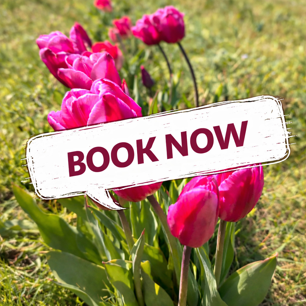 PYO Tulips - Book Now