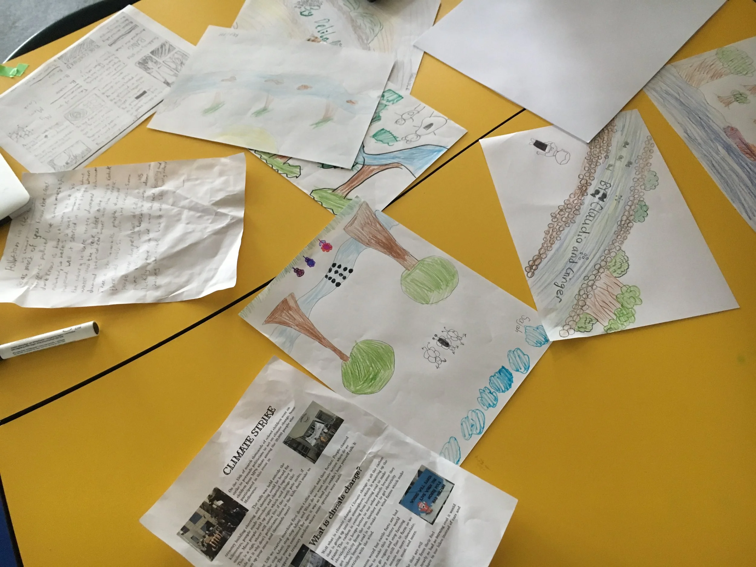 Photo 1-4-19, 11 25 11 am.jpg