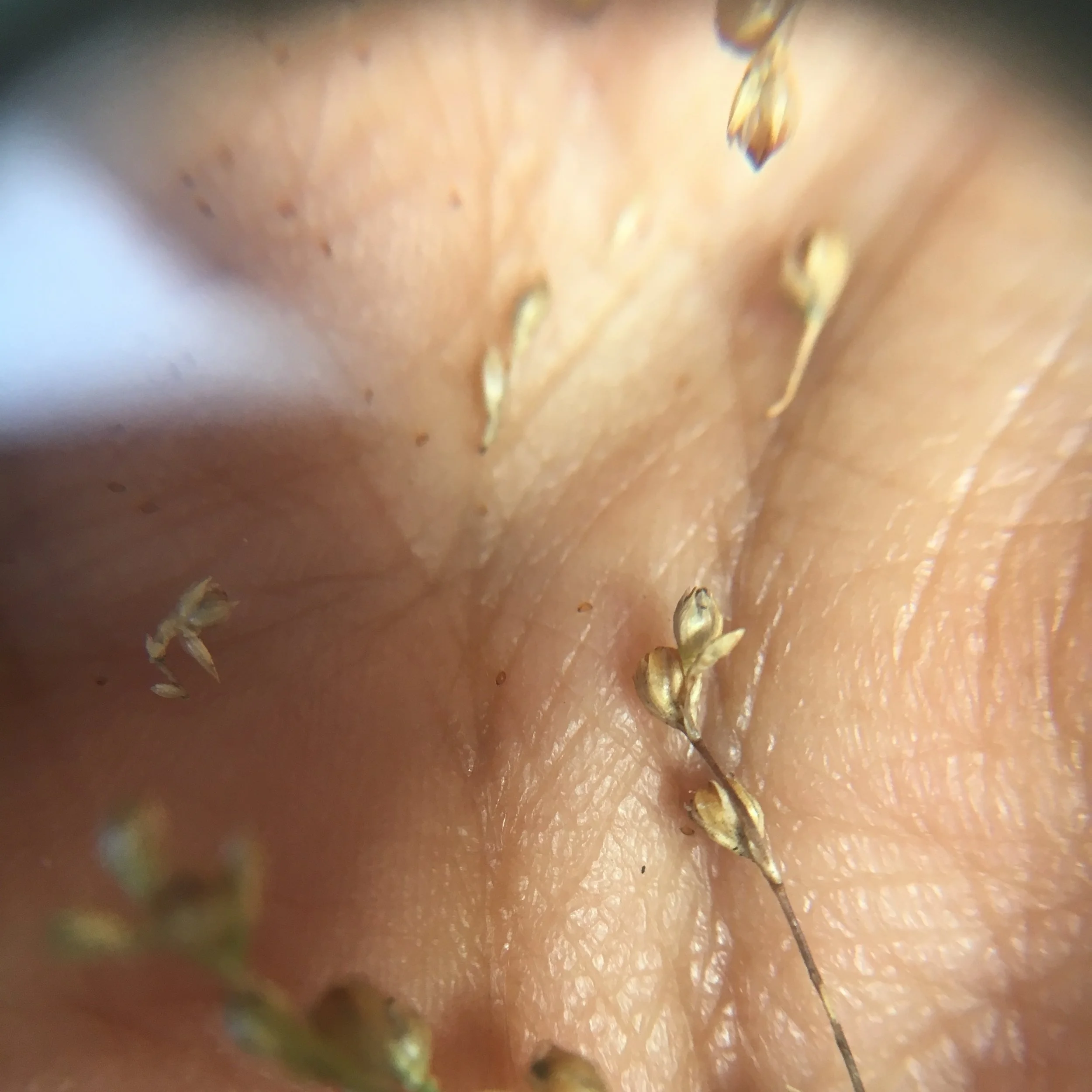 Photo 23-3-19, 4 52 31 pm.jpg