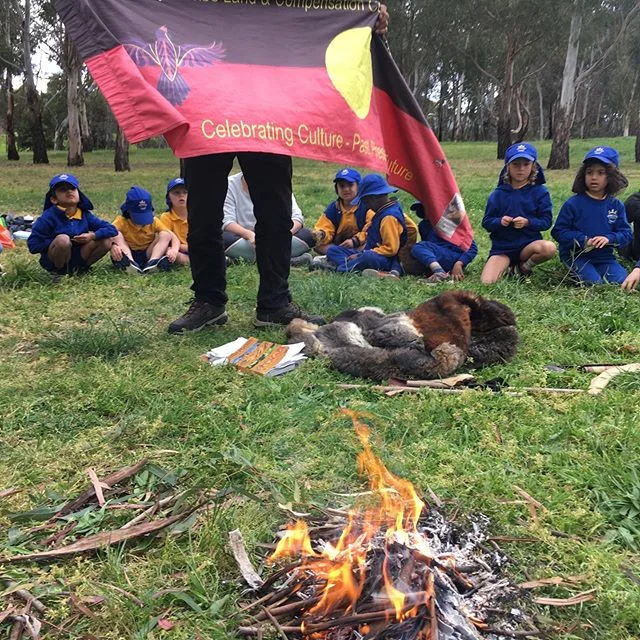 Celebrating Wurundjeri culture at Merri Merri yalluk with Uncle Bill and prep students #learningoncountry #wurundjeriland #tawnyfrogmouth