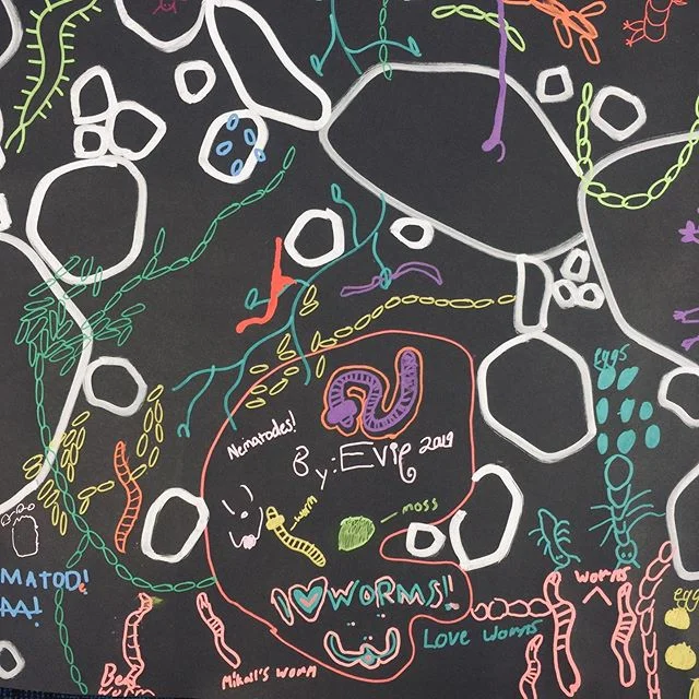 Drawing soil w @scalefreenetwork at  #morelandprimaryschool after Nema and the Xenos: A story of soil cycles storytelling #soilliteracy #wurundjeriland #morethanhuman