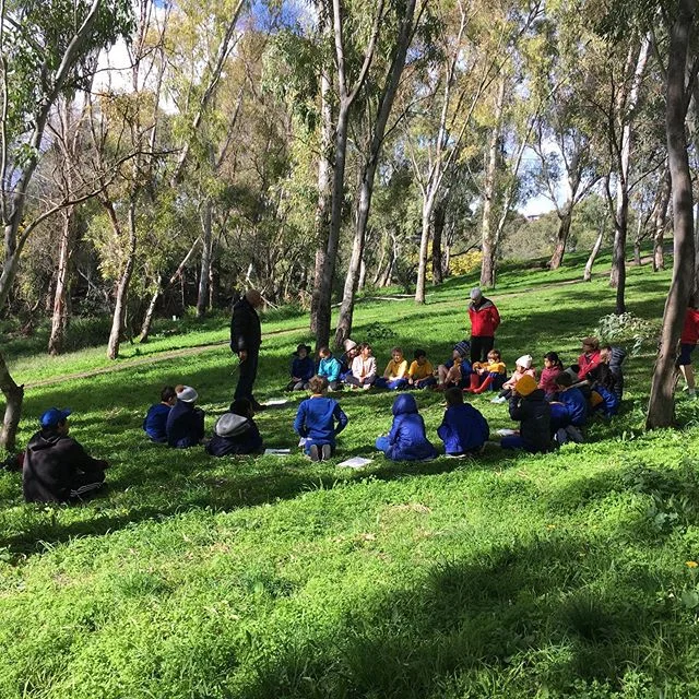 More learning on Country along the Merri Merri w Uncle Bill Nicholson from Wurundjeri Tribe Land Council #careforcountry #murnong #wurundjeriseasons #wurundjeriland #alwayswasalwayswillbe #smokingceremony #merricreek