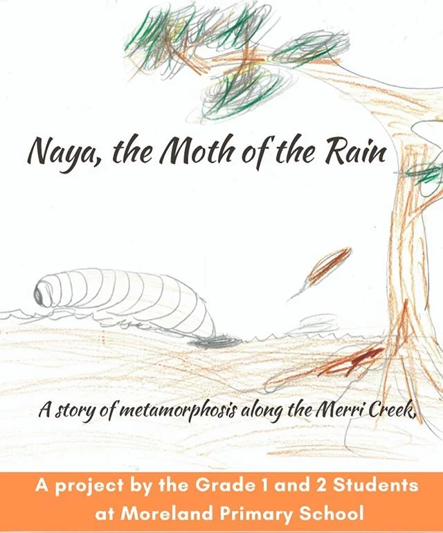 ~All welcome to Naya, the moth of the rain&rsquo;s book launch~
Monday 9th December 5:30 pm @ Coburg library (Victoria St/Louisa St, Coburg) #coburglibrary #moth #metamorphosis #moreland #wurundjeriland