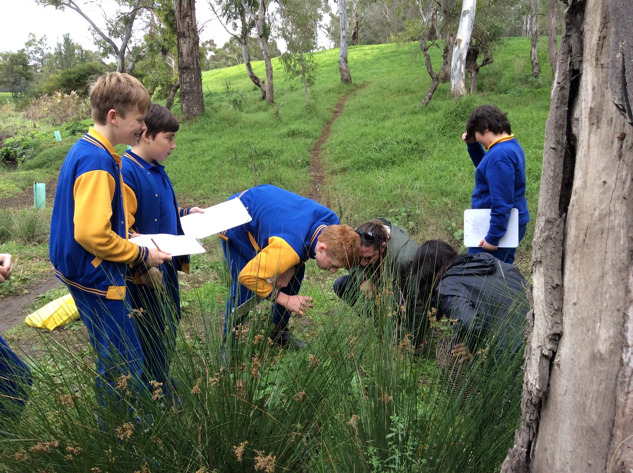 Creekulum evaluation