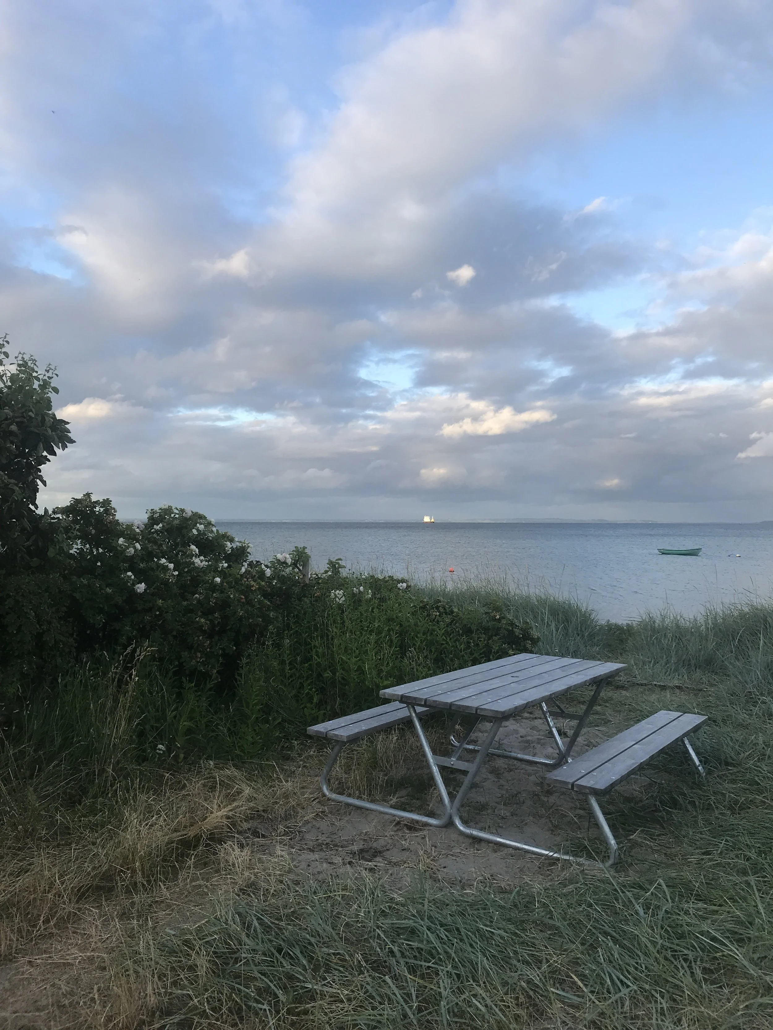 Nyt bord-bænkesæt til sydstranden