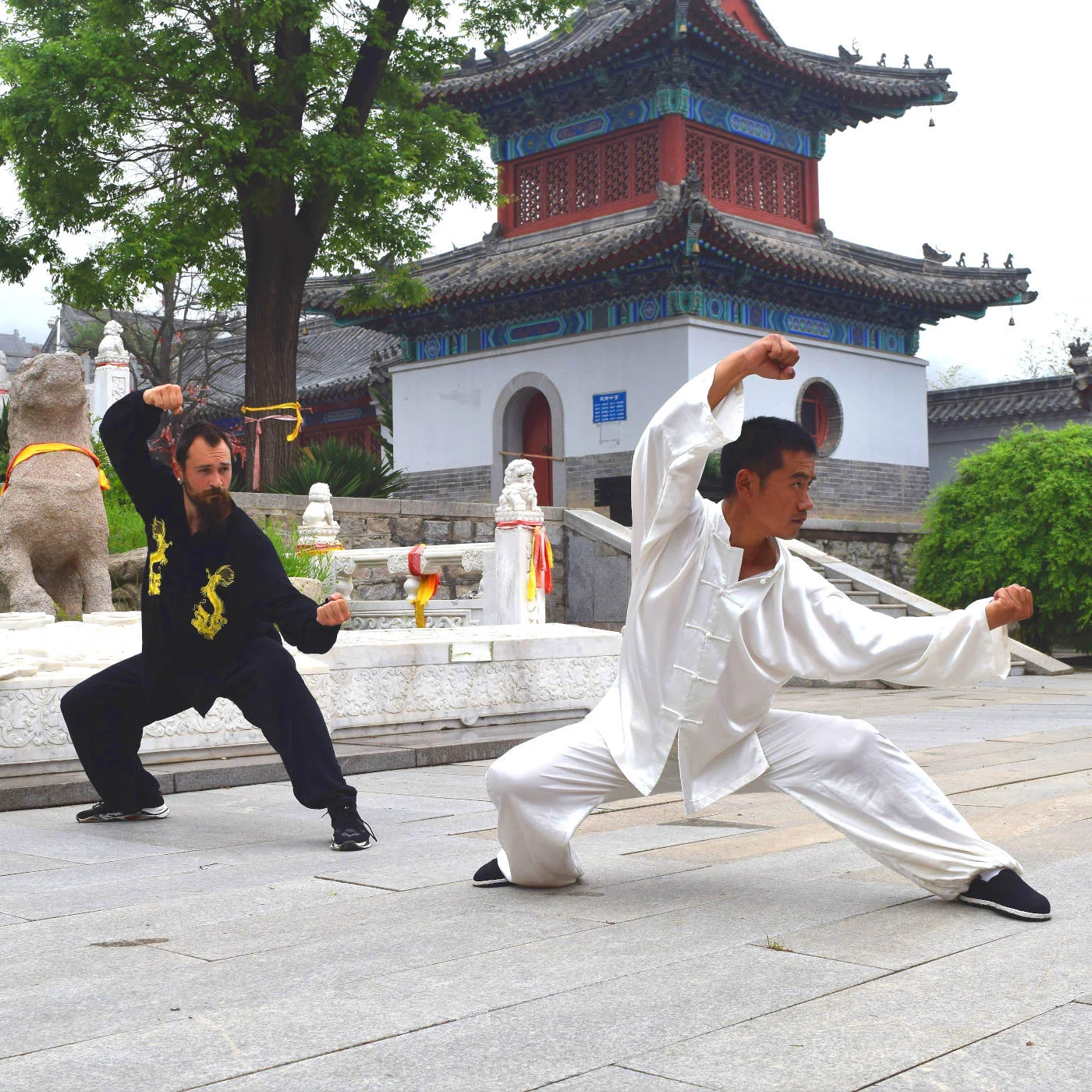 willshifu.JPG