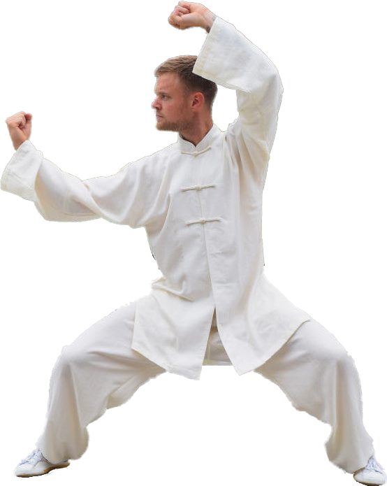 Herren Kung Fu Hemd Und Hose Tai-Chi Anzug Chinesisch Wushu Uniform Kampfsport 