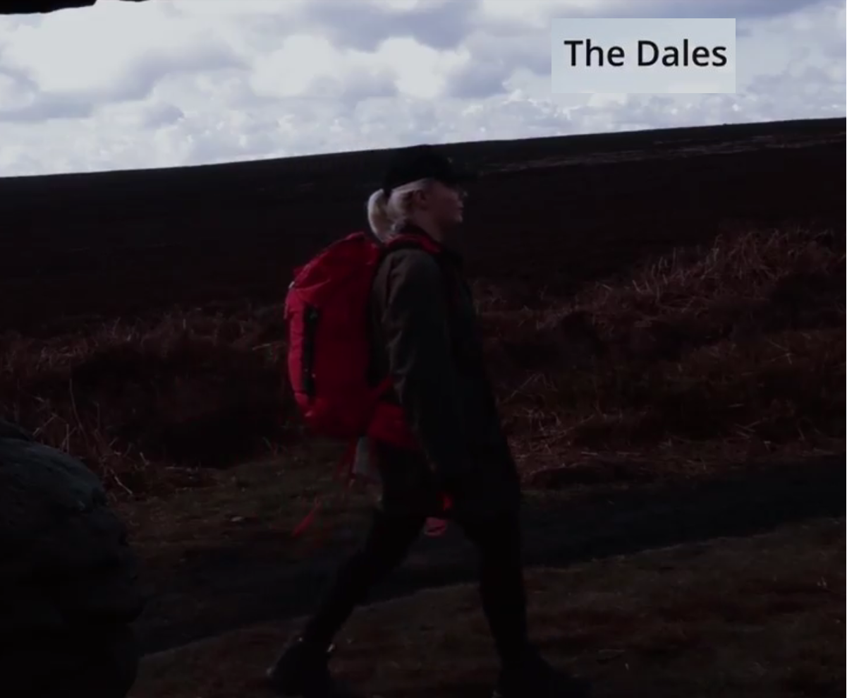 The Dales.png