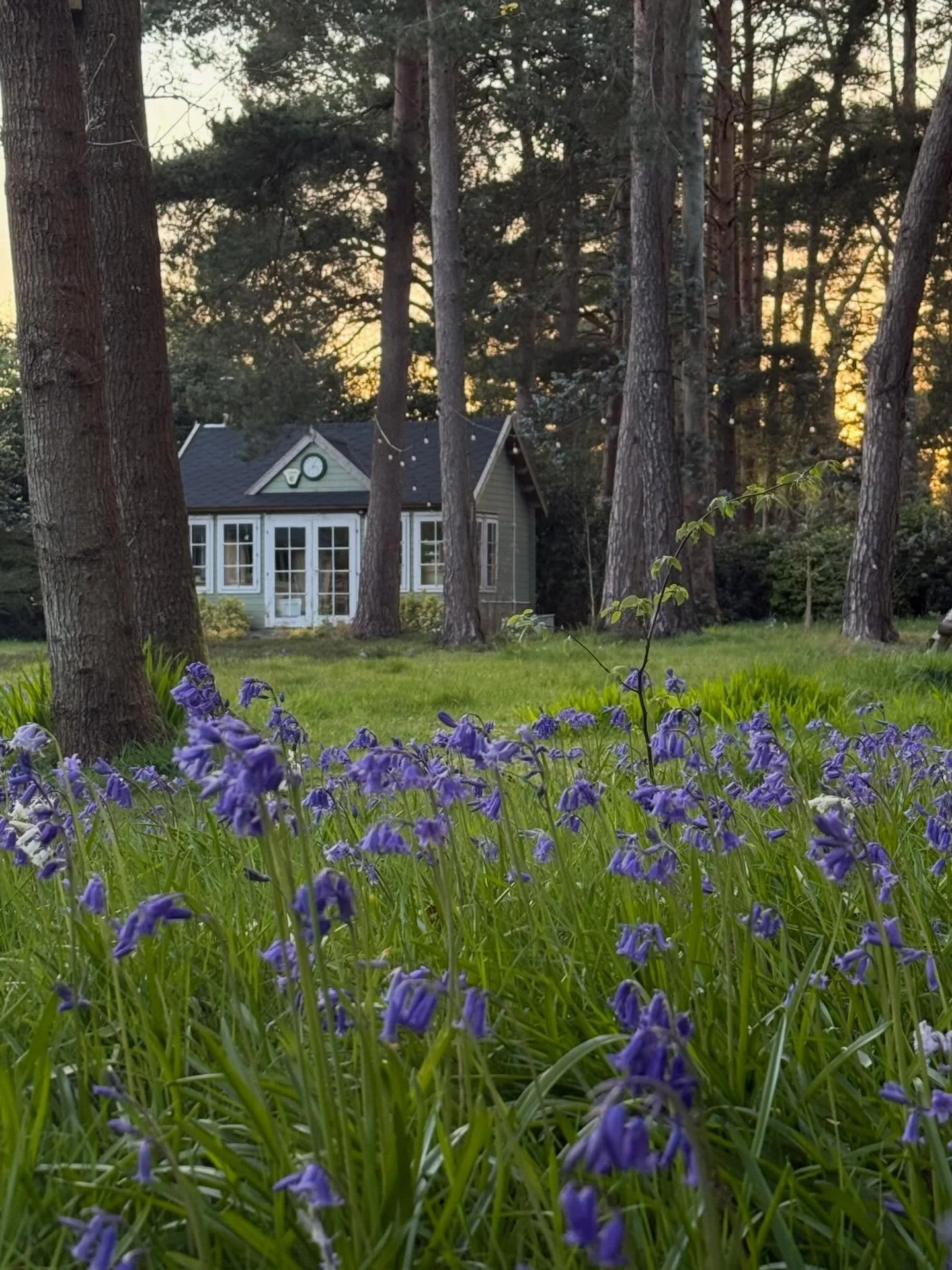 Photos of the studio at different times of the day&hellip;I so love this time of the year, everything waking up, bluebells in full bloom, that yellow green of new leaves! 🍃 
.
#jewellerystudionewforest