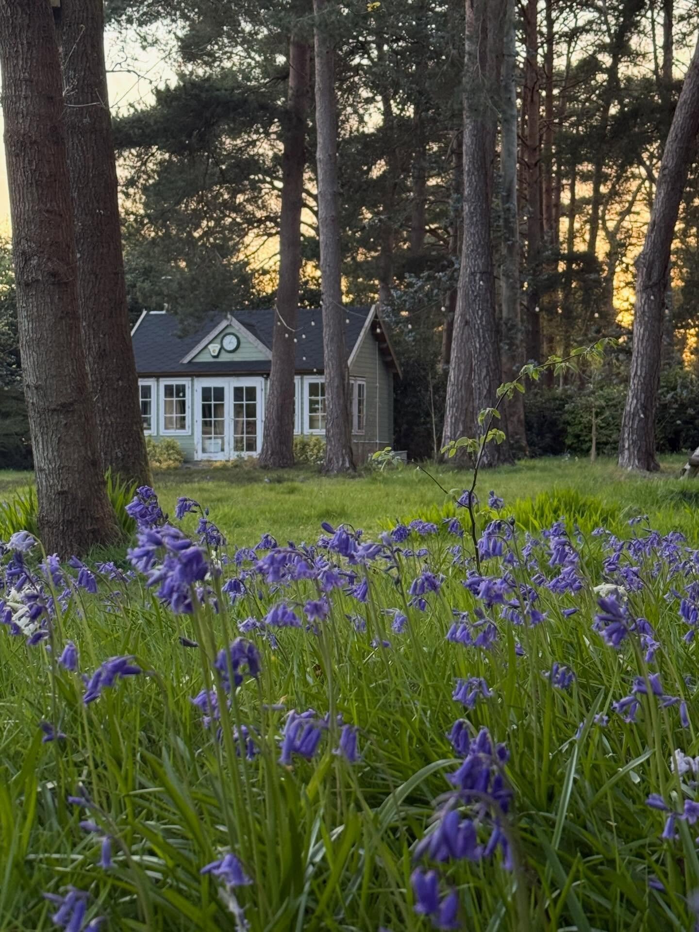 Photos of the studio at different times of the day&hellip;I so love this time of the year, everything waking up, bluebells in full bloom, that yellow green of new leaves! 🍃 
.
#jewellerystudionewforest