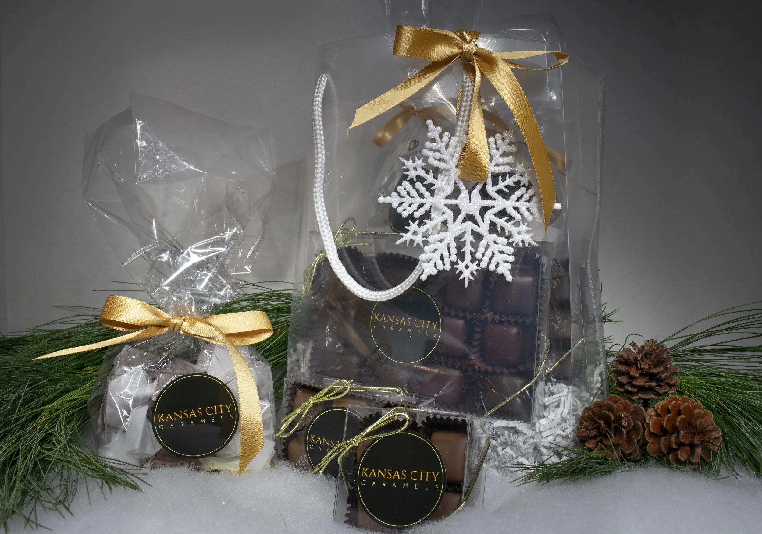 Holiday photo with white background 2.jpg