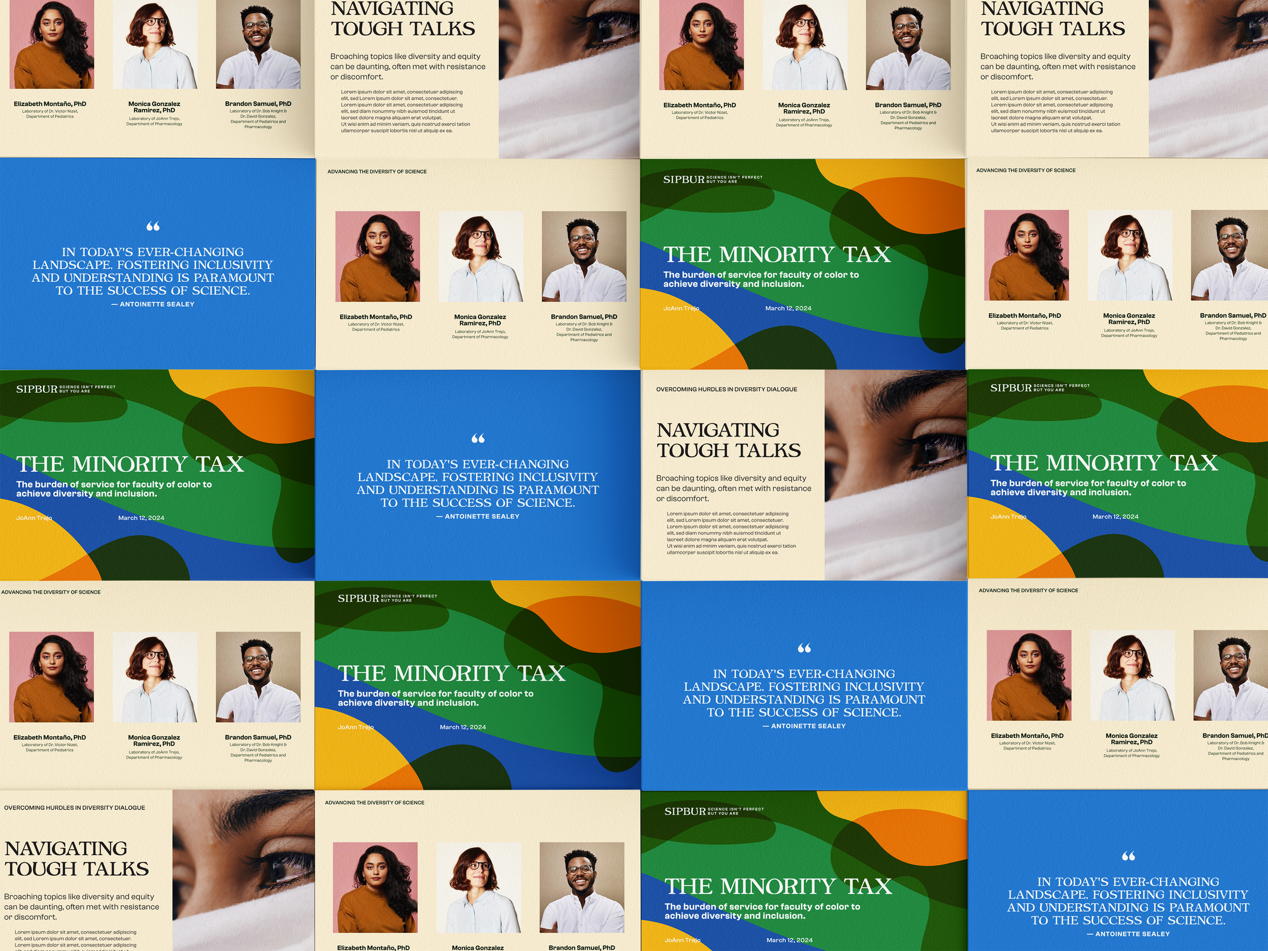 An assortment of slides from SIPBUR's PowerPoint template.