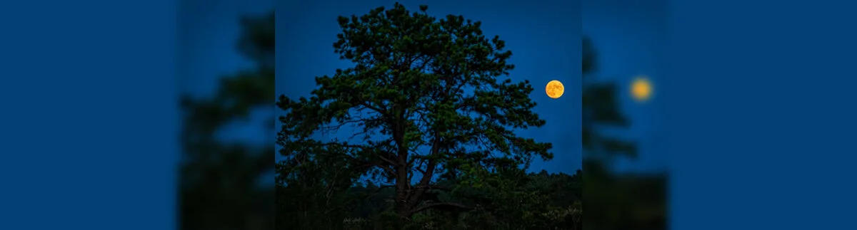 Super "Pink" Moonrise Photo Adventure