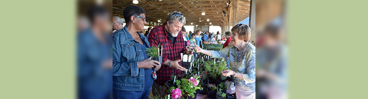 Introduction to Photo Journalism Adventure with Dorann Weber