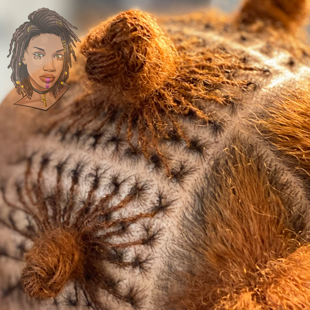 I Want Sisterlocks™ Extensions