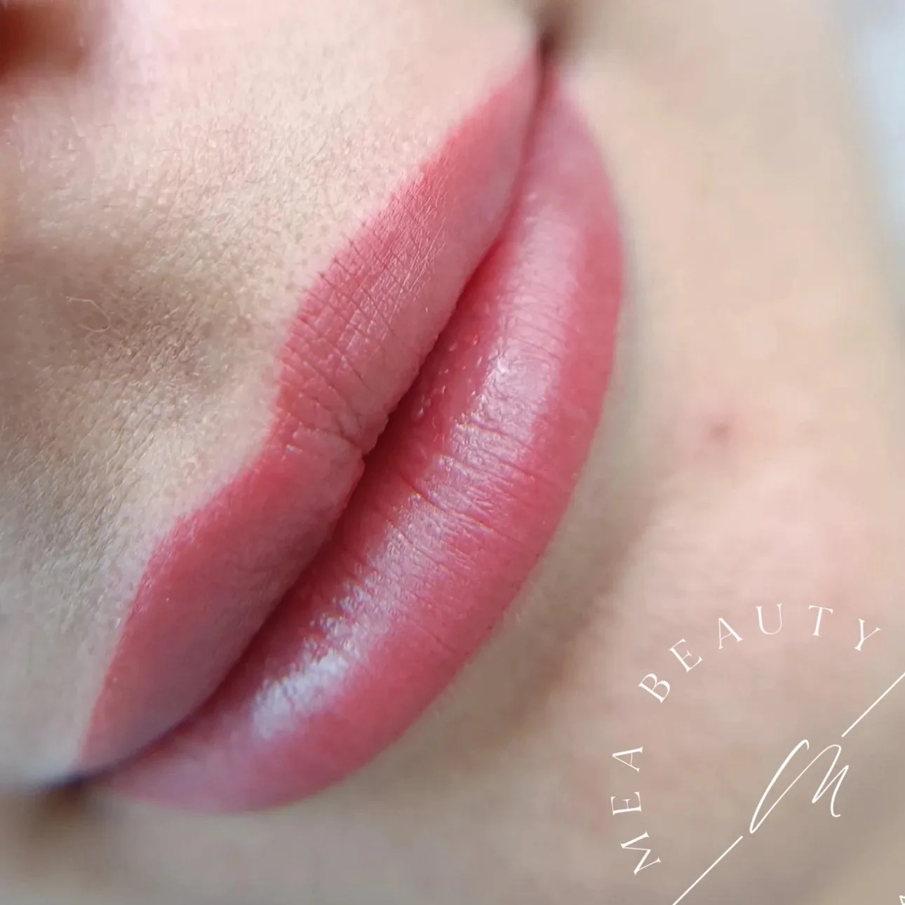 Focus on LIPS 💕

#pmulippen #lippen #pmud&uuml;sseldorf #permanentmakeup #d&uuml;sseldorf