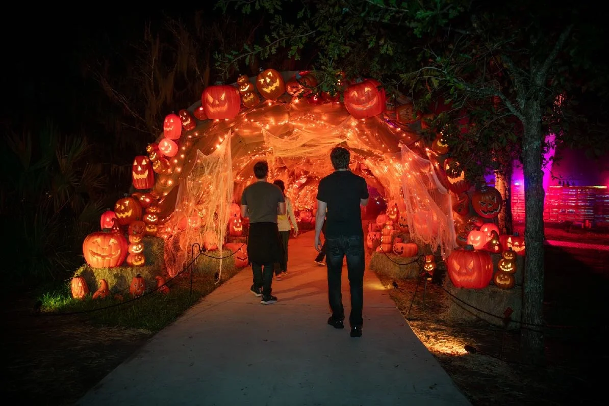 09 Pumpkin Tunnel.jpeg