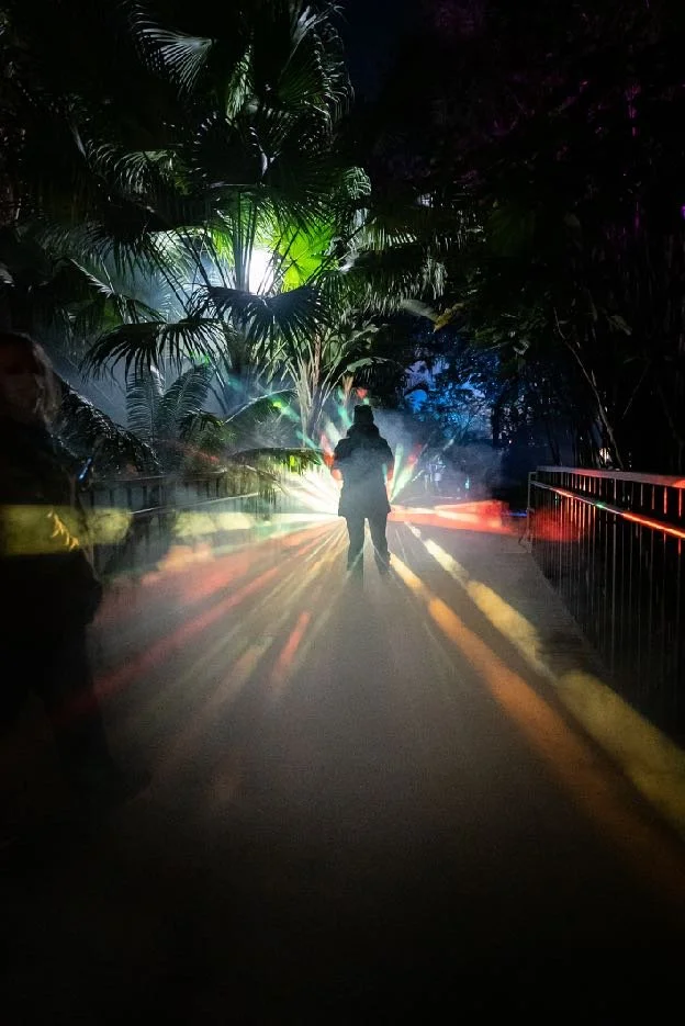 11 Light and Fog.jpeg