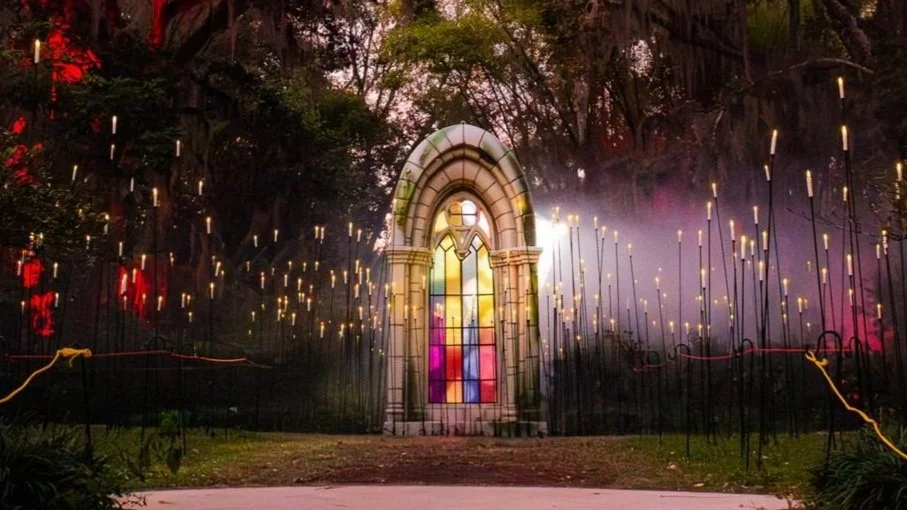 03 Garden Reflection Window.jpg