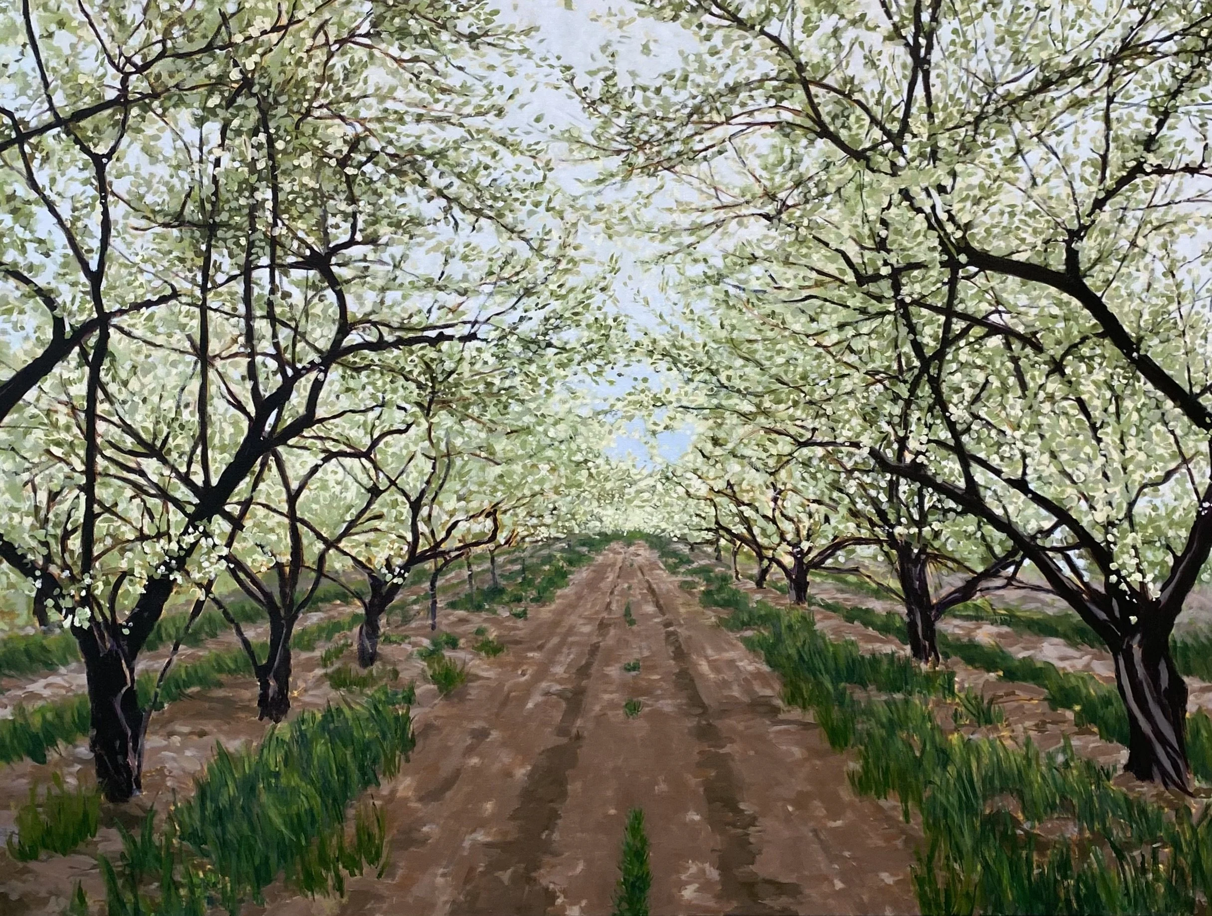 Orchard in blossom
