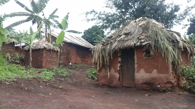 Typical house in Kasenda that would house 8-10 people