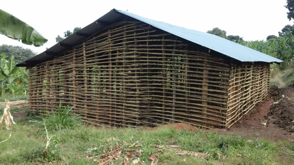 3 Solid reeds added for structure.jpg