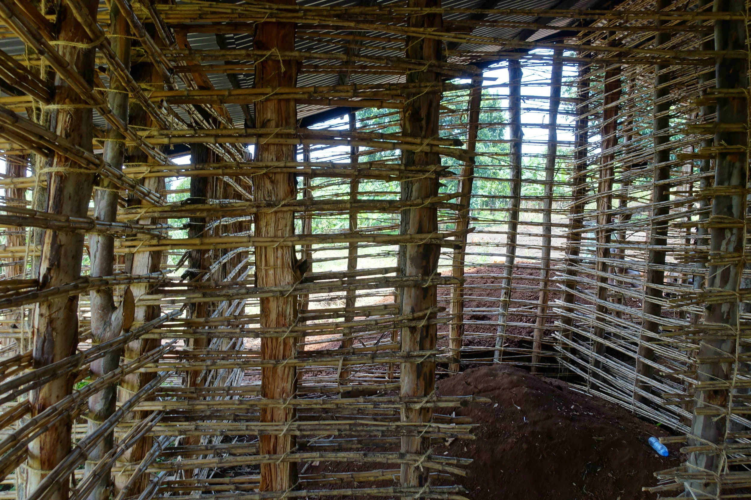 3A.Inside looking out.jpg
