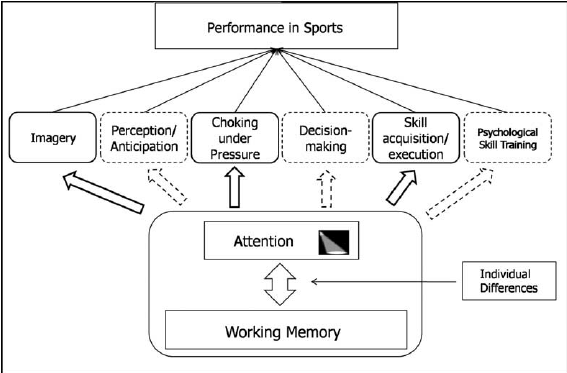 The Importance of Working Memory in Sports