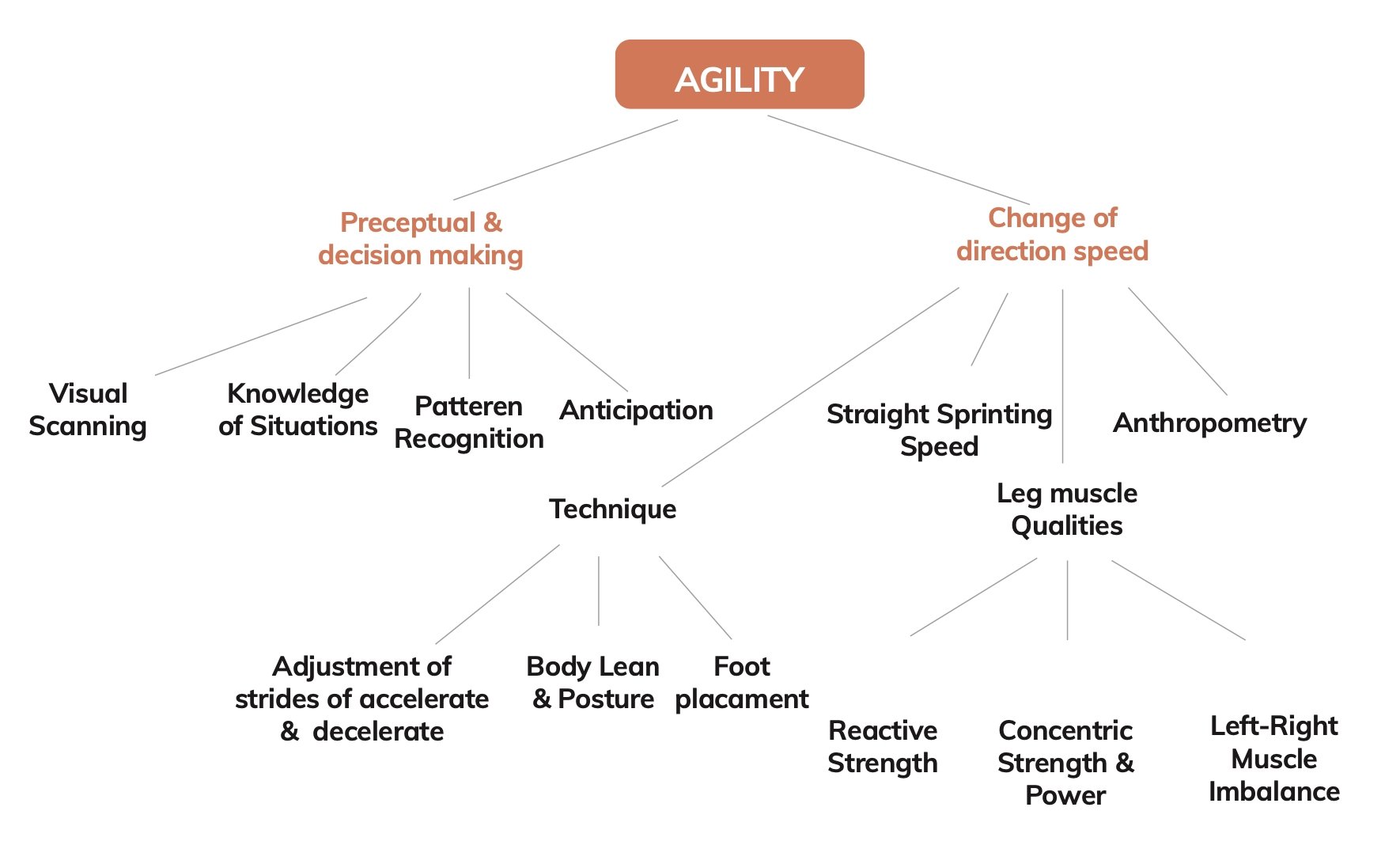 Agility_in_sports
