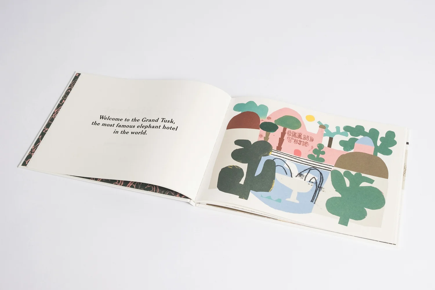 Children’s Book
