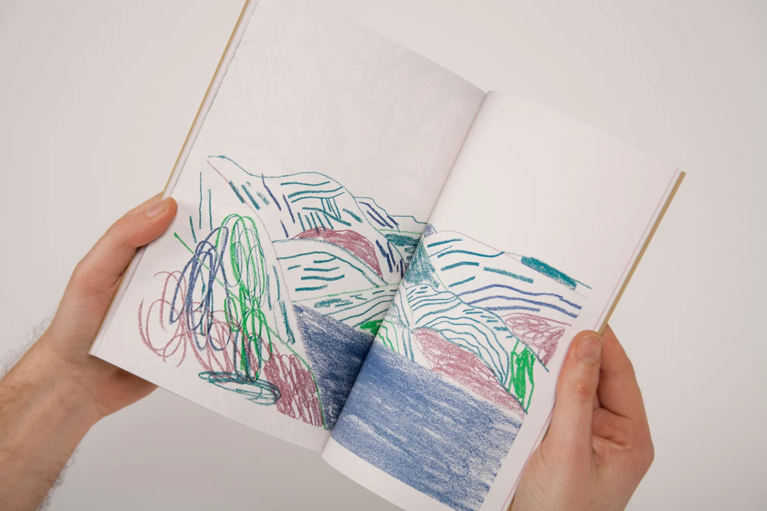 'Natives' residency programme publication