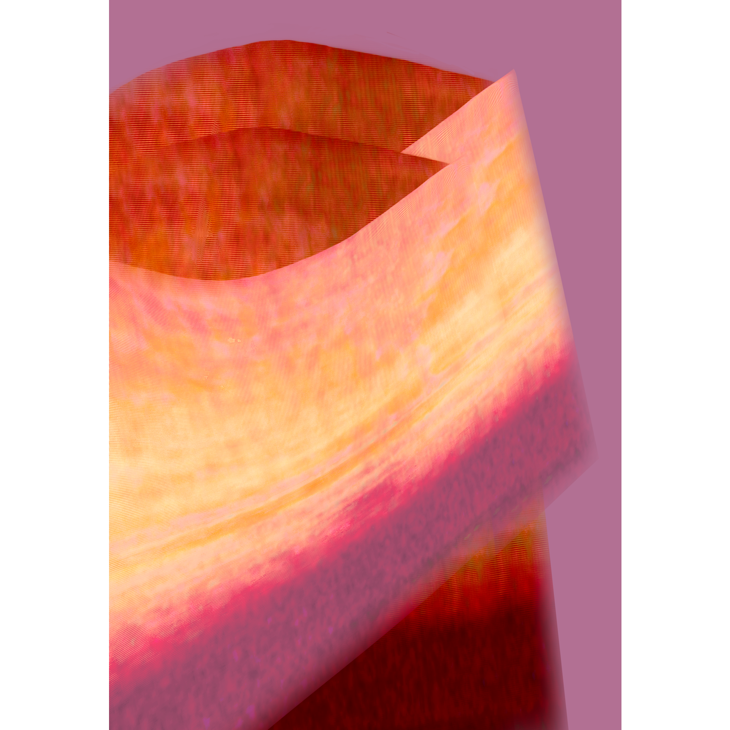 Untitled_Artwork 12.png