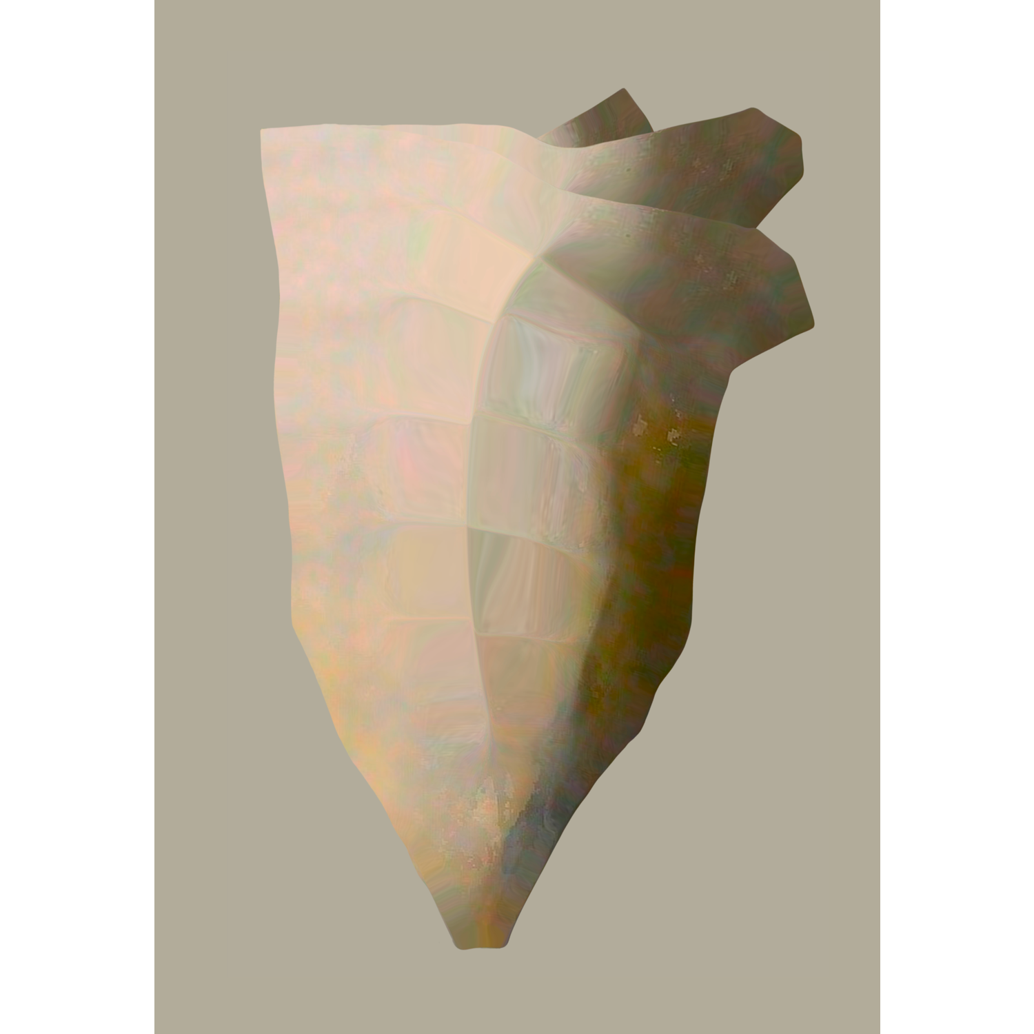 Untitled_Artwork 14.png