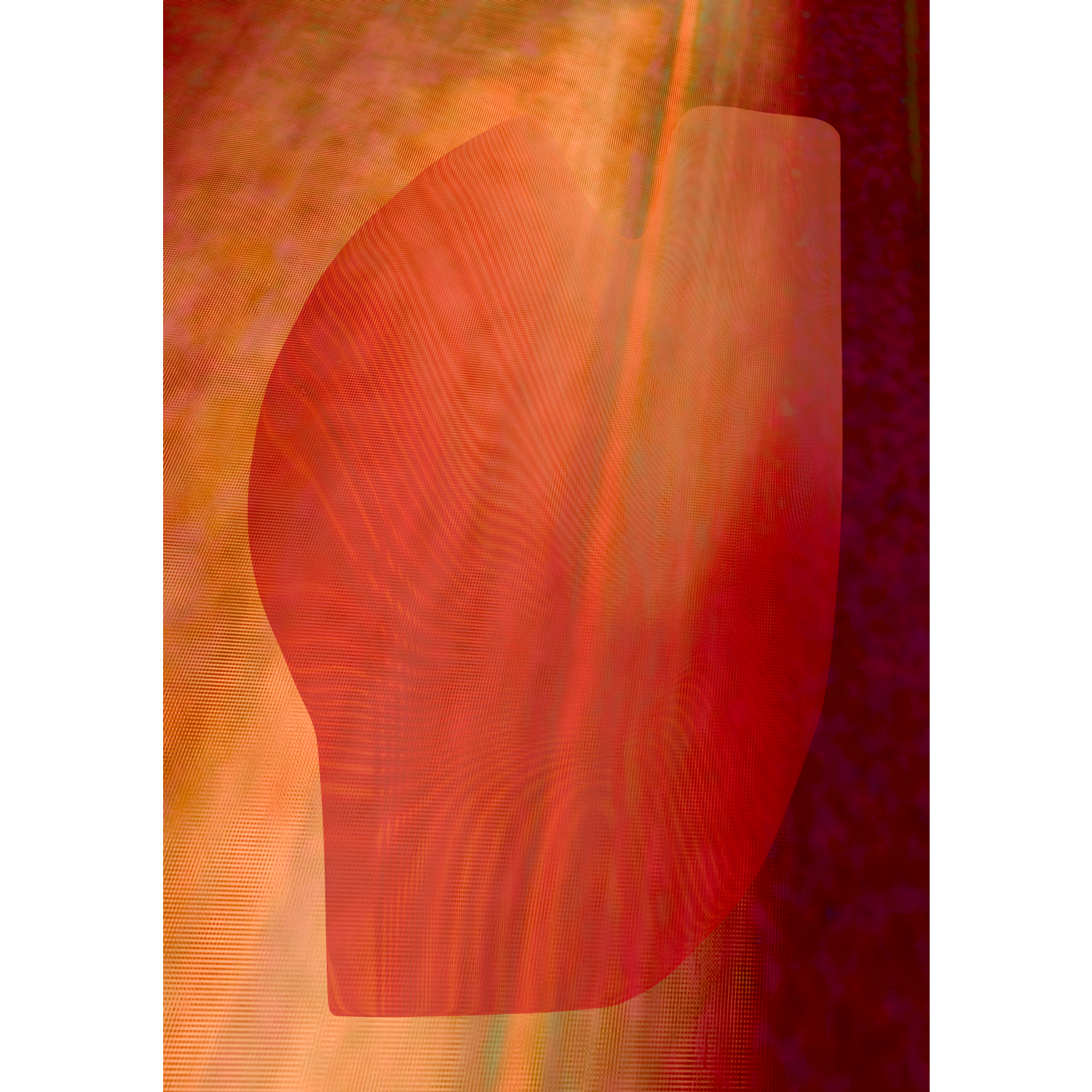 Untitled_Artwork 10.png